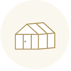 胡蝶蘭の即日発送｜東京23区は12時までのご注文で当日発送