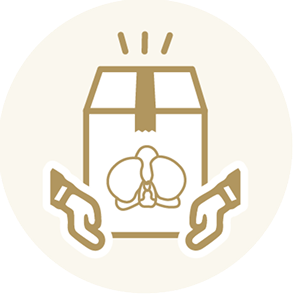 胡蝶蘭の無料特典｜ラッピング・立札・カード