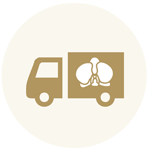 胡蝶蘭の写真送付｜発送前に仕上がり確認