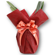 ミディ胡蝶蘭用ラッピング　ツバキ