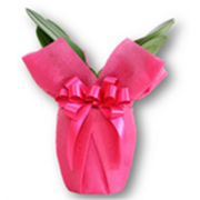 ミディ胡蝶蘭用ラッピング　ローズ