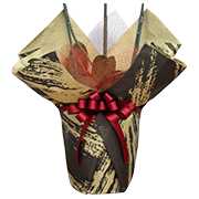 大輪胡蝶蘭用ラッピング 黒金