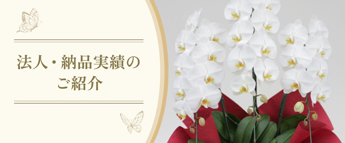 法人・納品実績のご紹介