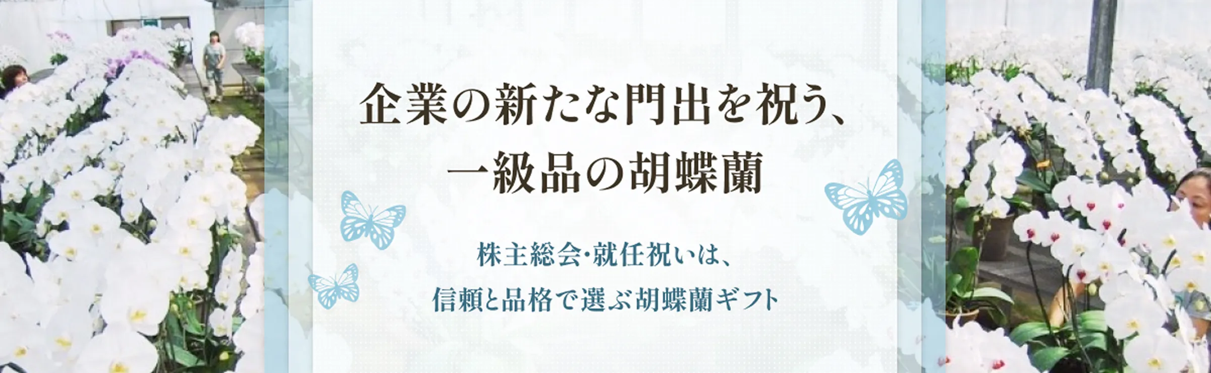 株主総会・就任祝い特集