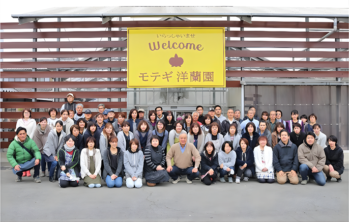 国内最高と評価されるモテギ洋蘭園の胡蝶蘭