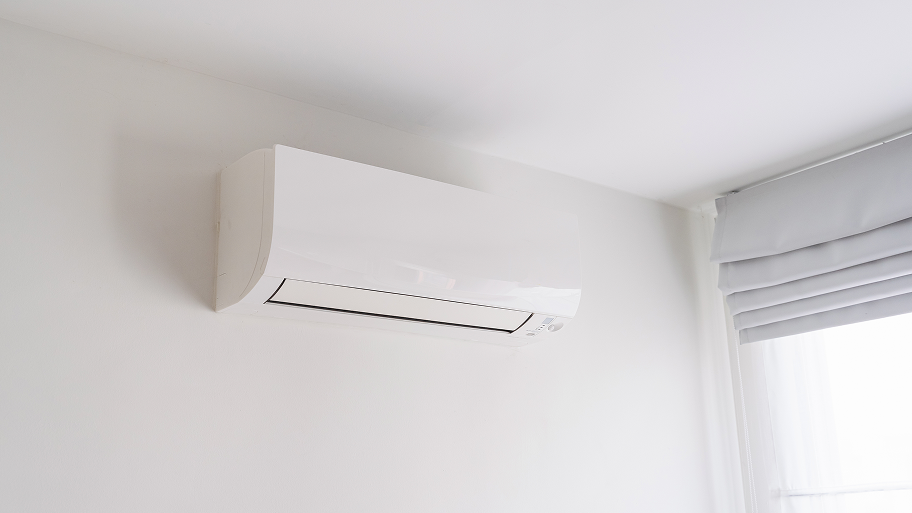 なぜ胡蝶蘭は冬の寒さが苦手なの？