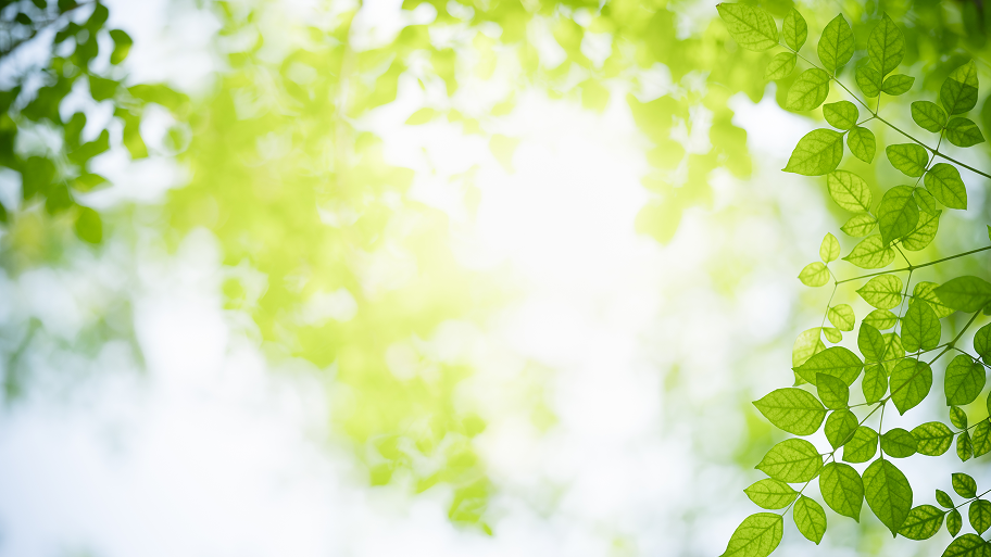 冬を乗り越えて、春に美しい花を咲かせるために