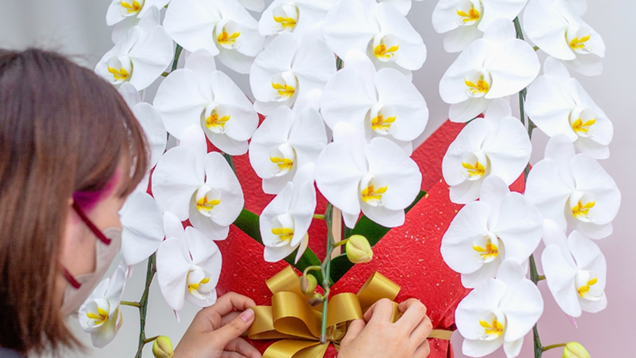 これだけは押さえたい！お歳暮で胡蝶蘭を贈る際の基本マナー