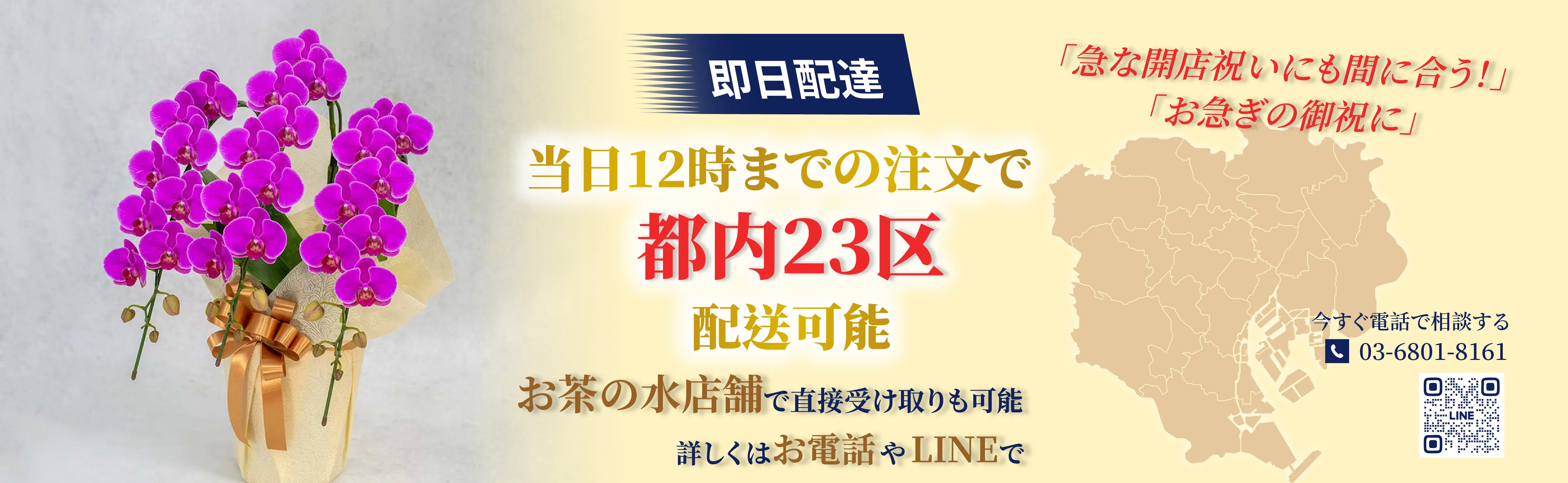 胡蝶蘭 東京23区 当日配送 法人ギフト EFLAお茶の水店