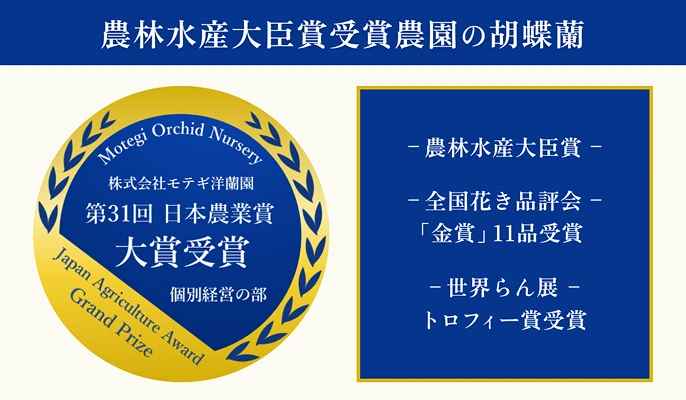 農林水産大臣賞受賞農園の胡蝶蘭