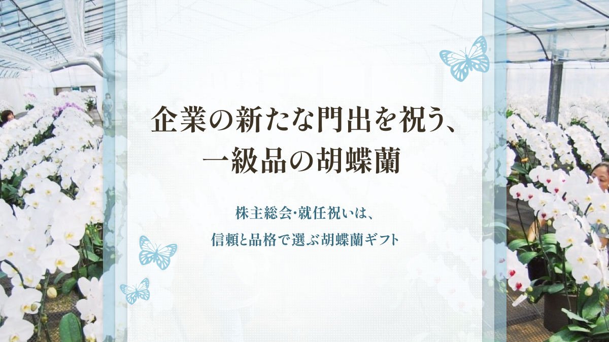 株主総会・就任祝い特集