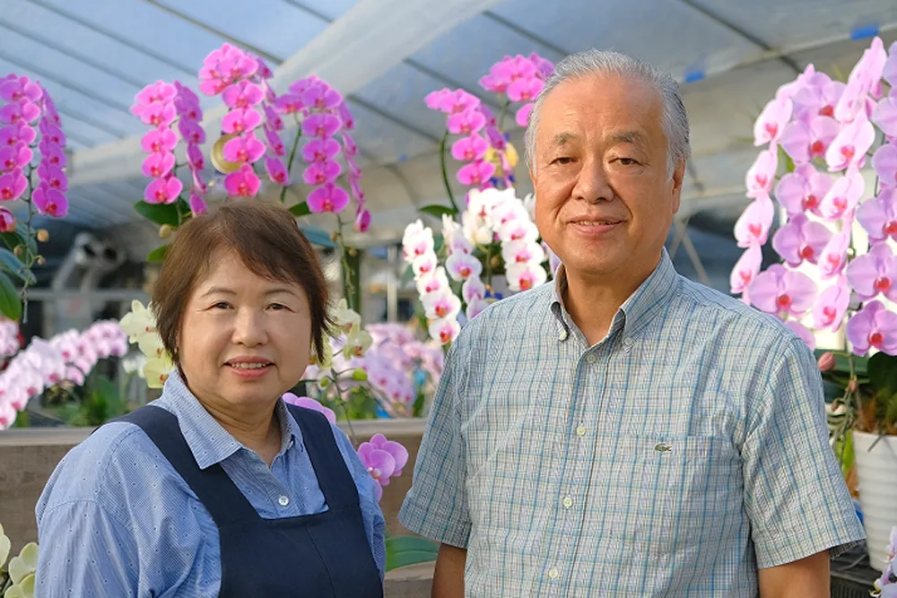 胡蝶蘭の育種と苗の管理 モテギ洋蘭園
