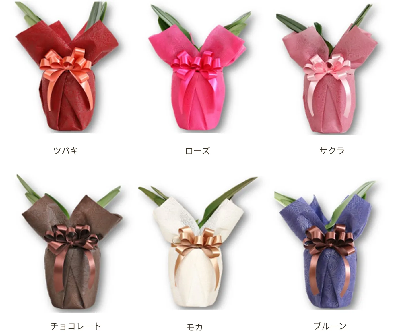 胡蝶蘭ラッピングのイメージ画像