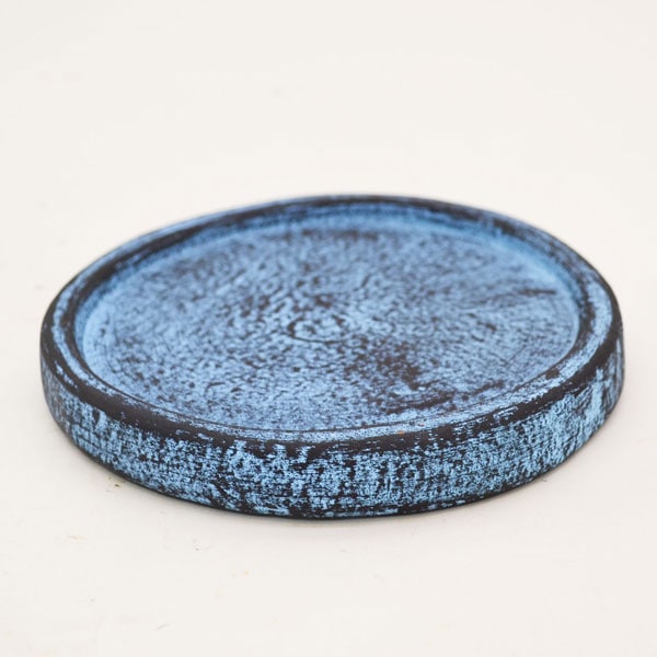 �������ƥꥢ�������ǥ˥�:ȭ���ץ�󥿡����ݥå�:�ƥ饳�å�ȭ