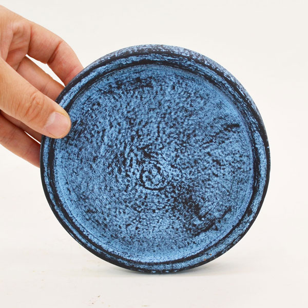 �������ƥꥢ�������ǥ˥�:ȭ���ץ�󥿡����ݥå�:�ƥ饳�å�ȭ