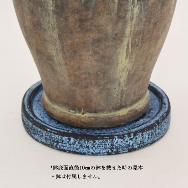 �������ƥꥢ�������ǥ˥�:ȭ���ץ�󥿡����ݥå�:�ƥ饳�å�ȭ