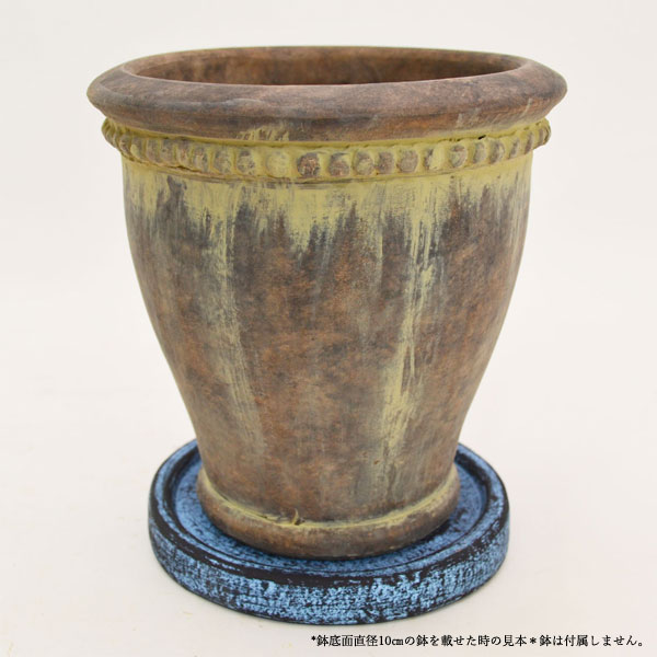 �������ƥꥢ�������ǥ˥�:ȭ���ץ�󥿡����ݥå�:�ƥ饳�å�ȭ