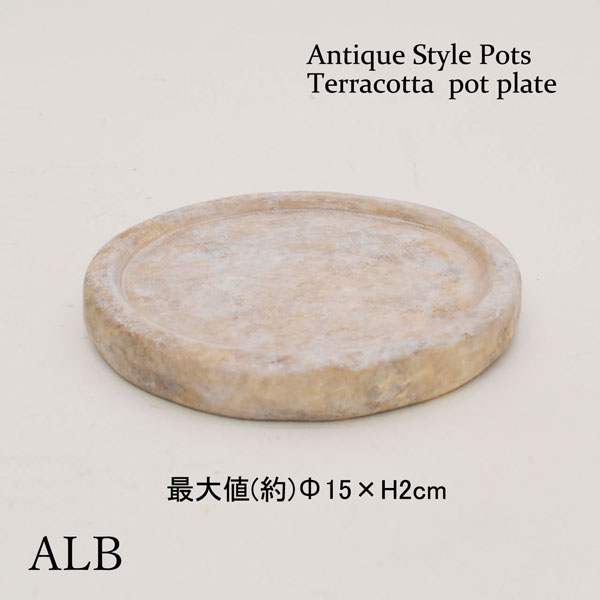 �������ƥꥢ�������ǥ˥�:ȭ���ץ�󥿡����ݥå�:�ƥ饳�å�ȭ