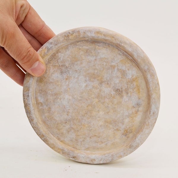 �������ƥꥢ�������ǥ˥�:ȭ���ץ�󥿡����ݥå�:�ƥ饳�å�ȭ