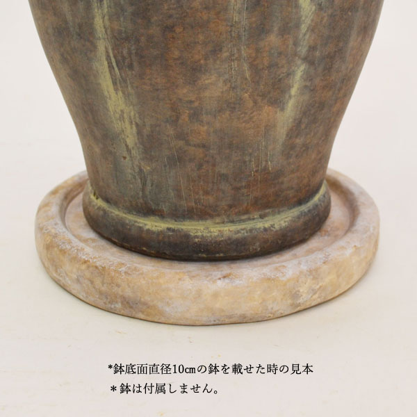 �������ƥꥢ�������ǥ˥�:ȭ���ץ�󥿡����ݥå�:�ƥ饳�å�ȭ