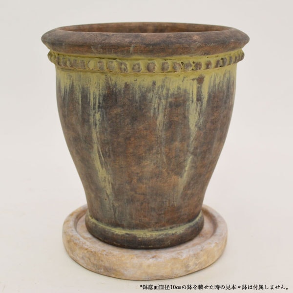 �������ƥꥢ�������ǥ˥�:ȭ���ץ�󥿡����ݥå�:�ƥ饳�å�ȭ