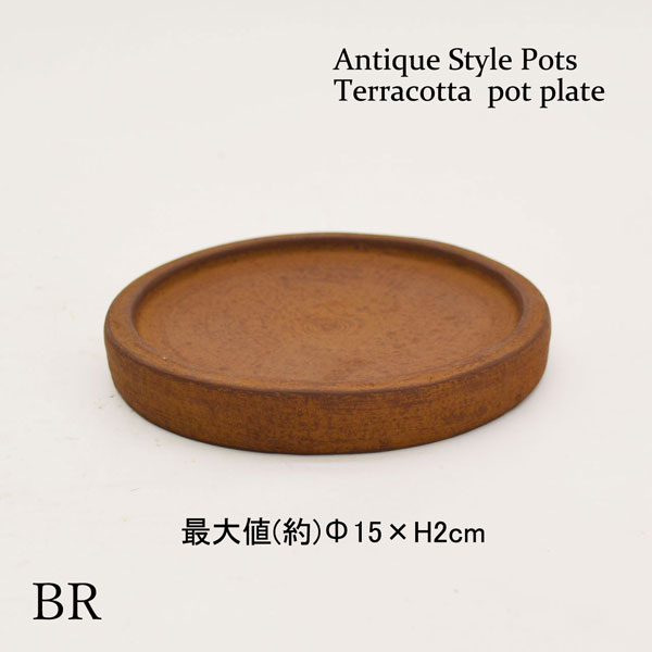 �������ƥꥢ�������ǥ˥�:ȭ���ץ�󥿡����ݥå�:�ƥ饳�å�ȭ