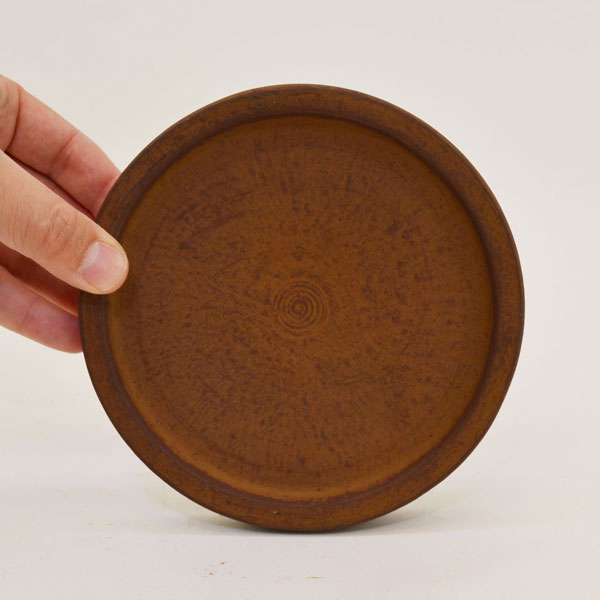 �������ƥꥢ�������ǥ˥�:ȭ���ץ�󥿡����ݥå�:�ƥ饳�å�ȭ