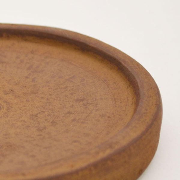 �������ƥꥢ�������ǥ˥�:ȭ���ץ�󥿡����ݥå�:�ƥ饳�å�ȭ