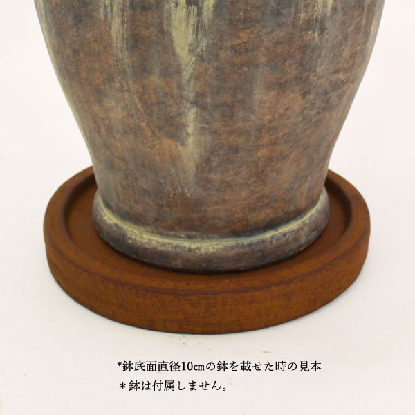 �������ƥꥢ�������ǥ˥�:ȭ���ץ�󥿡����ݥå�:�ƥ饳�å�ȭ