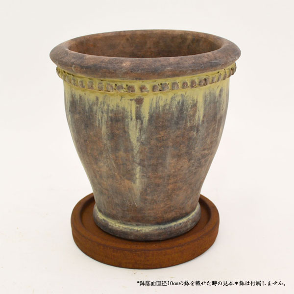 �������ƥꥢ�������ǥ˥�:ȭ���ץ�󥿡����ݥå�:�ƥ饳�å�ȭ