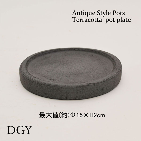 �������ƥꥢ�������ǥ˥�:ȭ���ץ�󥿡����ݥå�:�ƥ饳�å�ȭ