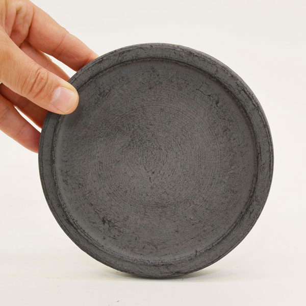 �������ƥꥢ�������ǥ˥�:ȭ���ץ�󥿡����ݥå�:�ƥ饳�å�ȭ