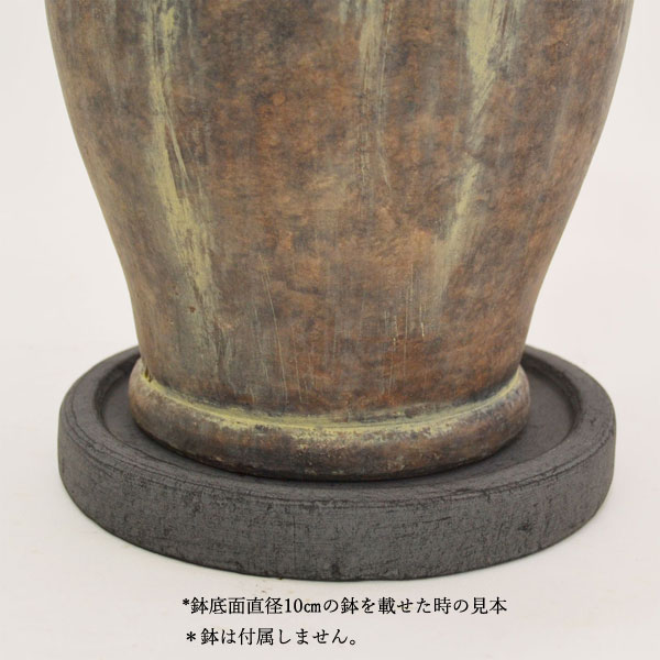 �������ƥꥢ�������ǥ˥�:ȭ���ץ�󥿡����ݥå�:�ƥ饳�å�ȭ