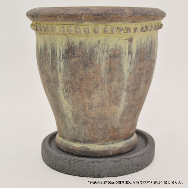 �������ƥꥢ�������ǥ˥�:ȭ���ץ�󥿡����ݥå�:�ƥ饳�å�ȭ