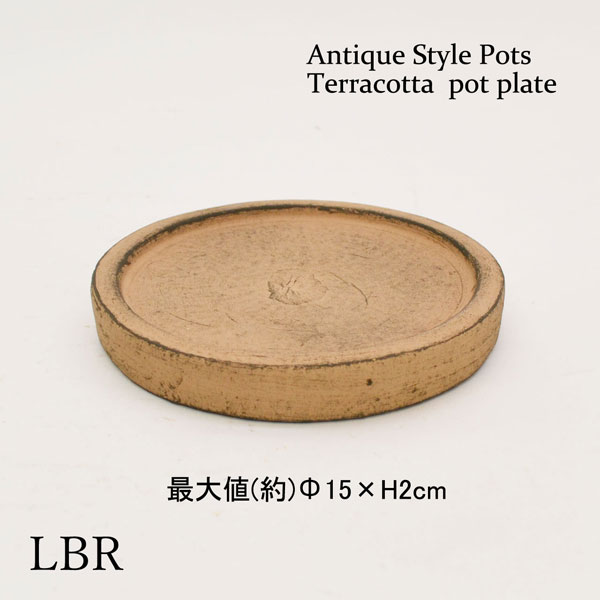 �������ƥꥢ�������ǥ˥�:ȭ���ץ�󥿡����ݥå�:�ƥ饳�å�ȭ