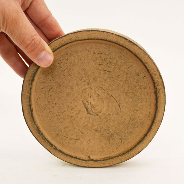 �������ƥꥢ�������ǥ˥�:ȭ���ץ�󥿡����ݥå�:�ƥ饳�å�ȭ