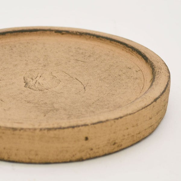 �������ƥꥢ�������ǥ˥�:ȭ���ץ�󥿡����ݥå�:�ƥ饳�å�ȭ