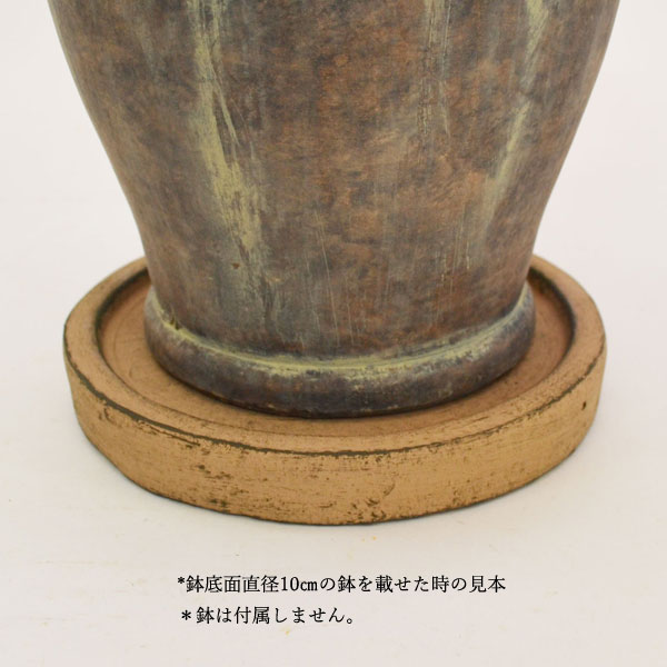 �������ƥꥢ�������ǥ˥�:ȭ���ץ�󥿡����ݥå�:�ƥ饳�å�ȭ