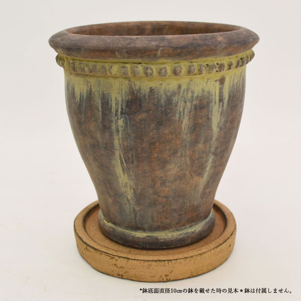 �������ƥꥢ�������ǥ˥�:ȭ���ץ�󥿡����ݥå�:�ƥ饳�å�ȭ