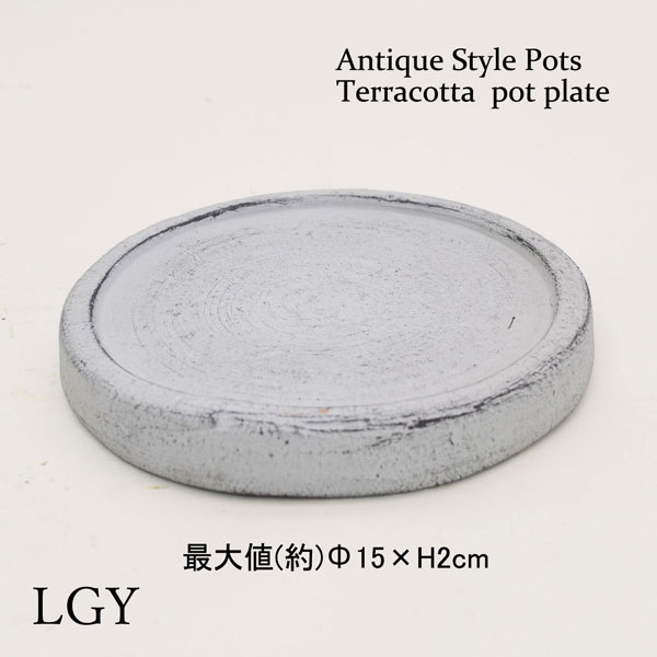 �������ƥꥢ�������ǥ˥�:ȭ���ץ�󥿡����ݥå�:�ƥ饳�å�ȭ