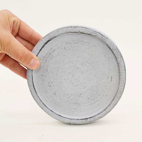 �������ƥꥢ�������ǥ˥�:ȭ���ץ�󥿡����ݥå�:�ƥ饳�å�ȭ