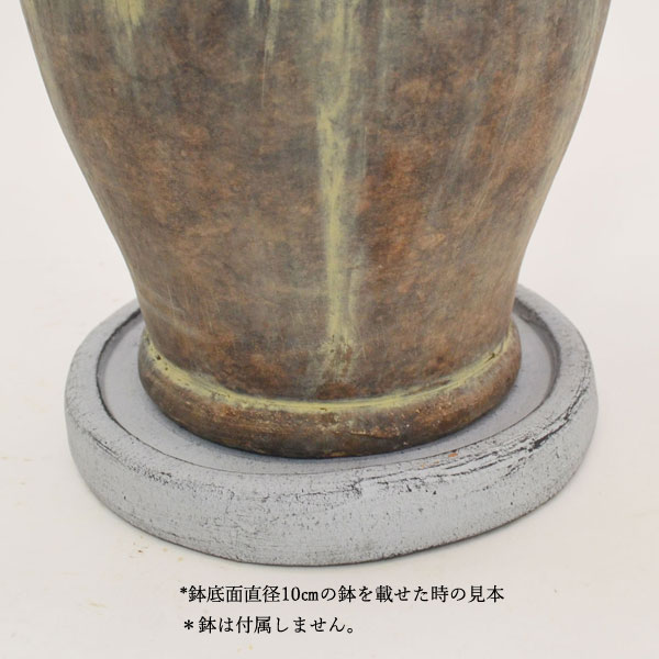 �������ƥꥢ�������ǥ˥�:ȭ���ץ�󥿡����ݥå�:�ƥ饳�å�ȭ