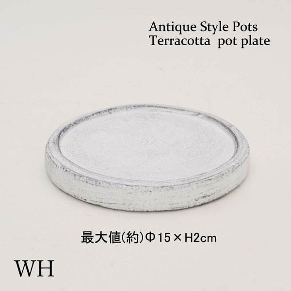 �������ƥꥢ�������ǥ˥�:ȭ���ץ�󥿡����ݥå�:�ƥ饳�å�ȭ