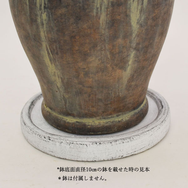 �������ƥꥢ�������ǥ˥�:ȭ���ץ�󥿡����ݥå�:�ƥ饳�å�ȭ