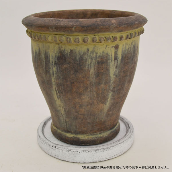 �������ƥꥢ�������ǥ˥�:ȭ���ץ�󥿡����ݥå�:�ƥ饳�å�ȭ