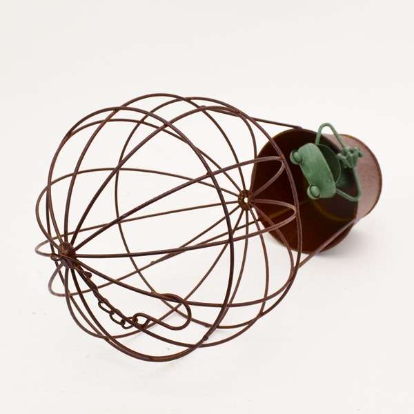 ƥꥢǥ˥:ưʪʪ˥ޥ륪֥:롦