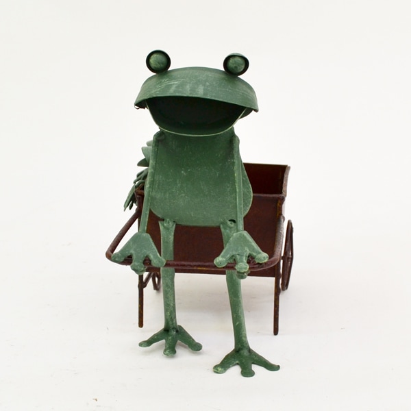 ƥꥢǥ˥:ưʪʪ˥ޥ륪֥:롦