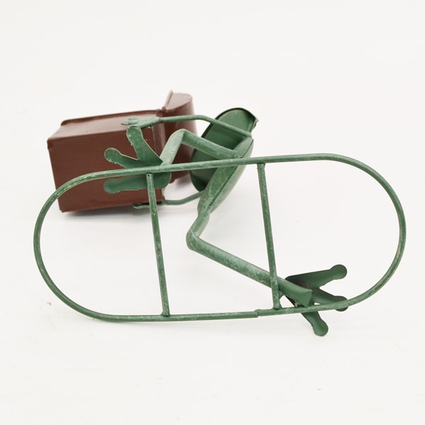 ƥꥢǥ˥:ưʪʪ˥ޥ륪֥:롦