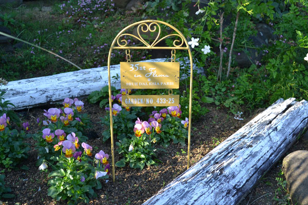 �������ƥꥢ�������ǥ˥�:�ǥ��졼�����:�����ǥ�ԥå�