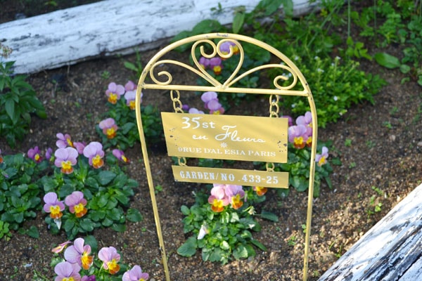 �������ƥꥢ�������ǥ˥�:�ǥ��졼�����:�����ǥ�ԥå�